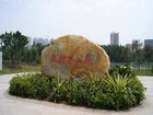 三公园环绕 大亚湾中心区新贵海豚湾一号配套大赏