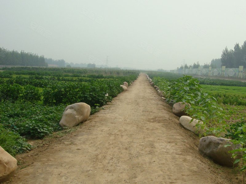 回归绿色生活 游快乐老家开心农场(组图) –天