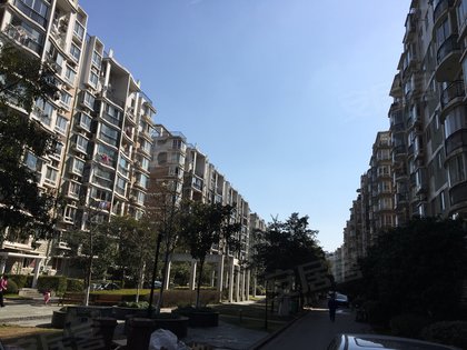 上海阳城