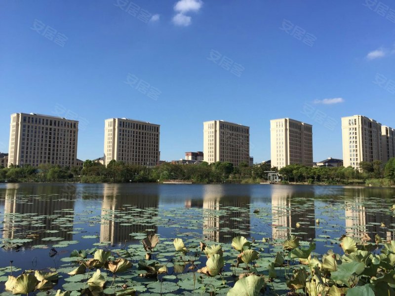 东方鸿璟