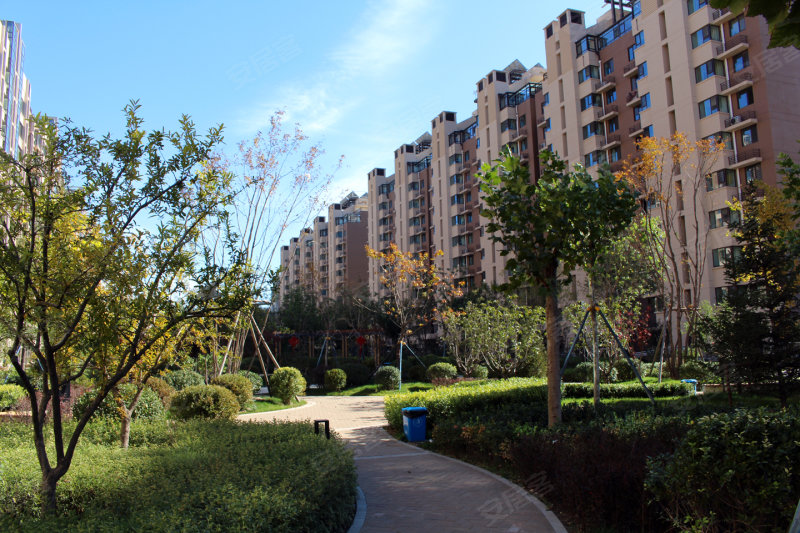 京投银泰公园悦府