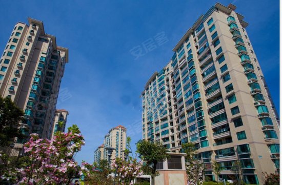 房产税税率_温岭房产税人均面积(3)